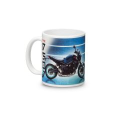 Yamaha MT09 Mugg